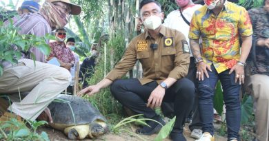 Hari Sungai Sedunia, Wagub Banten Lepasliarkan Kura-kura ke Cisadane Hari Sungai Sedunia, Wagub Banten Lepasliarkan Kura-kura ke Cisadane