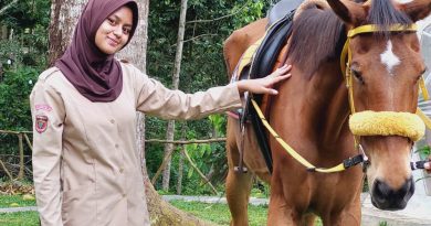 Lembah Durian Farm Stable, Wisata di Kebun Durian Sambil Naik Kuda Lembah Durian Farm Stable, Wisata di Kebun Durian Sambil Naik Kuda