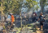 Tangani Karhutla di Riau, BNPB Laksanakan Operasi Modifikasi Cuaca