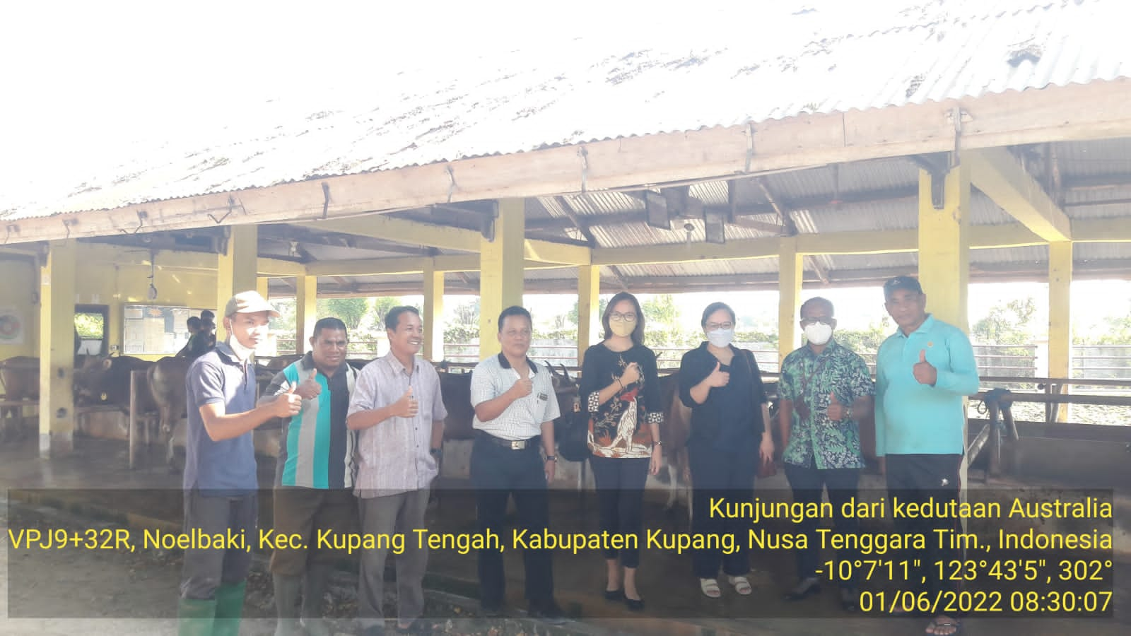 Pantau PMK, Deputy Chief Veterinary Officer Kedubes Australia Kunjungi BBPP Kupang