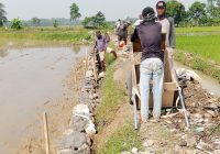 Serap Aspirasi Dari Masyarakatnya , Pemerintah Desa Peringwulung Bangun Jalan Usaha Tani Dan SPAL.