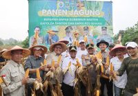 Intensifikasi Lahan, Gubernur Banten Andra Soni: Untuk Menuju Swasembada Pangan