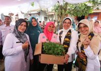 Ketua TP Posyandu Provinsi Banten Tinawati Andra Soni Tuntaskan Peninjauan Transformasi New Posyandu di Kabupaten Pandeglang