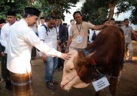 Wagub Banten A Dimyati Natakusumah Melaksanakan Sholat Idul Adha di Masjid Raya Al-Bantani