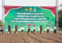 Wagub Banten A Dimyati Natakusumah: Program Tanam Jagung Dorong Kemandirian dan Wirausaha Masyarakat